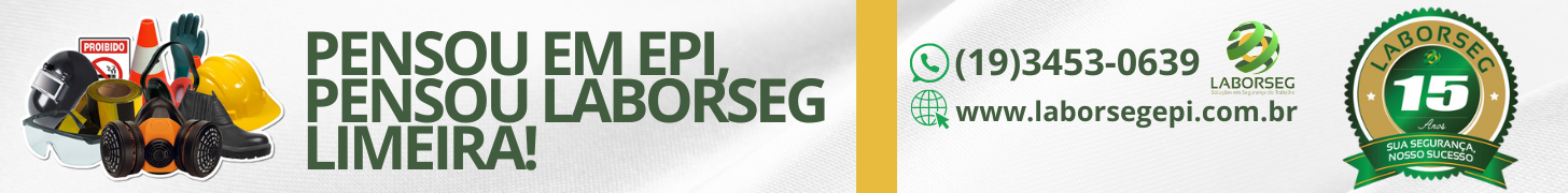 LABORSEG INICIAL