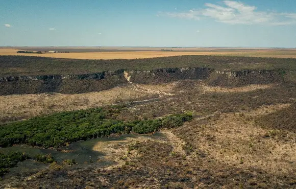 Governo monta força-tarefa para conter desmatamento no Cerrado
